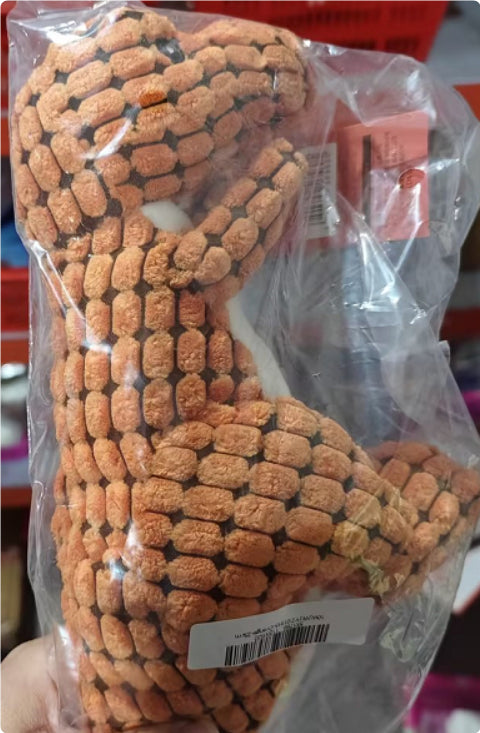 Interactive Dinosaur Toy for Large Dogs