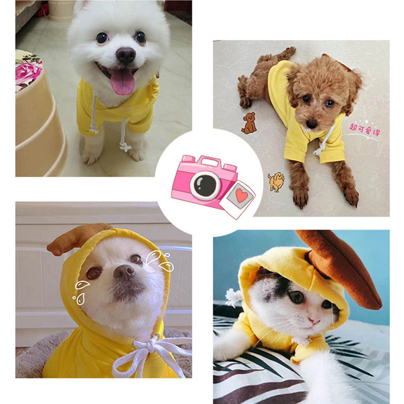 Cute Fruit Fleece Hoodie for Small Pets