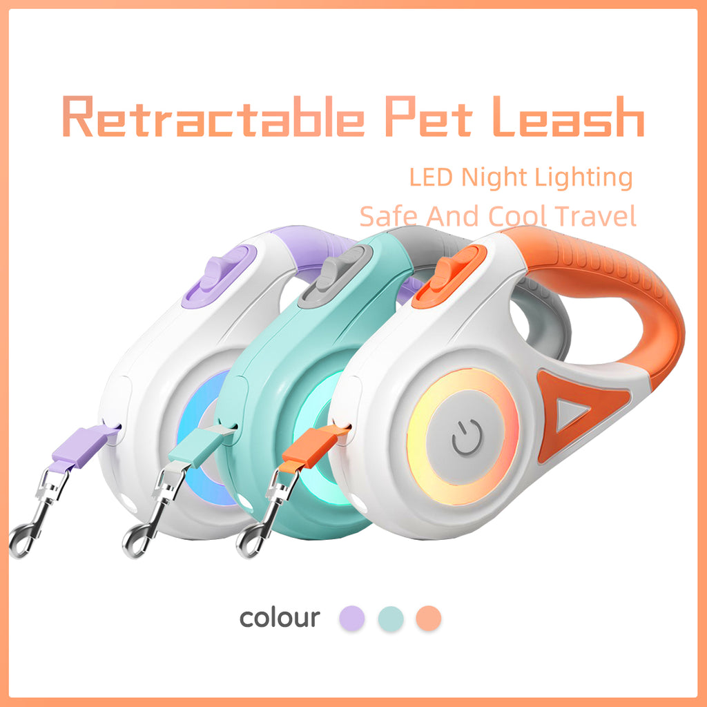 Retractable Dog Leash & Collar for Small to Medium Pets